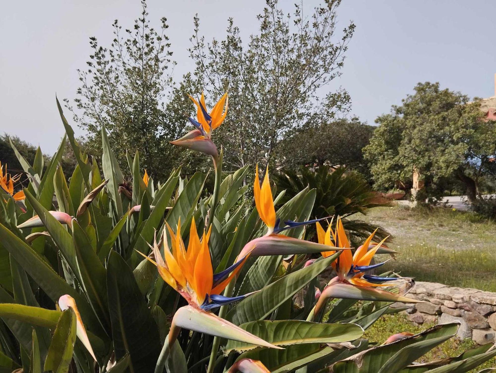 Holiday Home Riccio Di Mare Sardinia Marongiu Zewnętrze zdjęcie