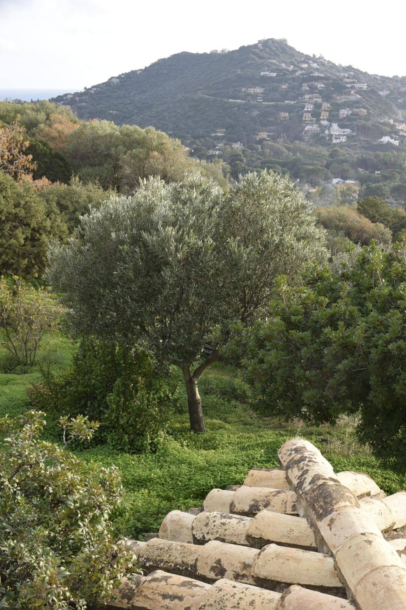 Holiday Home Riccio Di Mare Sardinia Marongiu Zewnętrze zdjęcie